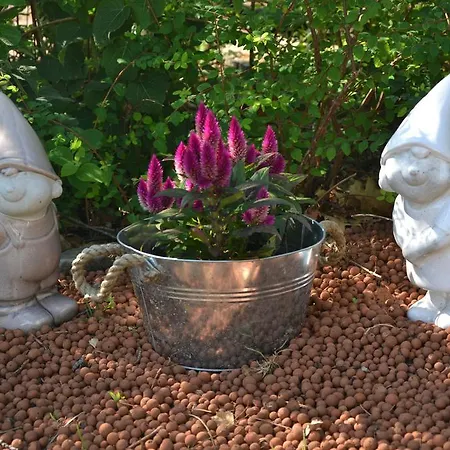 Bungalowpark De Toekomst