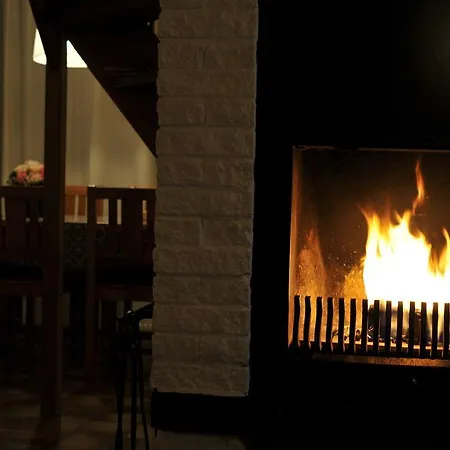 Дом отдыха Bungalowpark De Toekomst