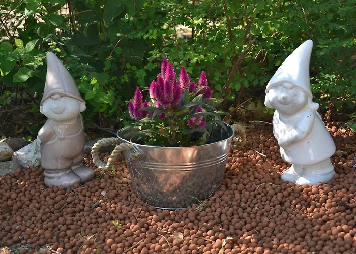 Bungalowpark De Toekomst